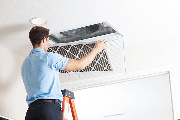 Best Air Filters and Purifiers in Valley Hill, NC